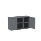 Armário Para Escritório 2 Portas 3 Prateleiras Pivot  Grafito