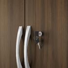 Armário Para Escritório 2 Portas Com Chave Bahrein Nótavel No