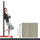 Armário Para Escritório 2 Portas Com Chave Branco/castanheira
