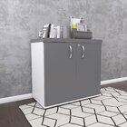 Armário Para Escritório 2 Portas Com Chave Branco/grafito