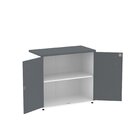 Armário Para Escritório 2 Portas Com Chave Branco/grafito