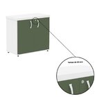 Armário Para Escritório 2 Portas Com Chave Branco/salvia