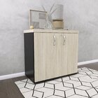 Armário Para Escritório 2 Portas Com Chave Preto/castanheira