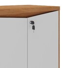 Armário Para Escritório 2 Portas Freijó/branco - Artany Móveis