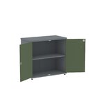 Armário Para Escritório 2 Portas Pivotante Grafito/salvia