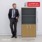 Armário Para Escritório 2 Portas Pivotante Grafito/samba