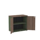 Armário Para Escritório 2 Portas Pivotante Salvia/walnut/preto