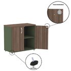 Armário Para Escritório 2 Portas Pivotante Salvia/walnut/preto