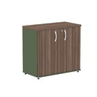 Armário Para Escritório 2 Portas Pivotante Salvia/walnut/preto