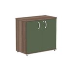 Armário Para Escritório 2 Portas Pivotante Walnut/salvia
