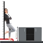 Armário Para Escritório 2 Portas Pivotantes Credenza Preto/gr