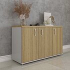 Armário Para Escritório 3 Portas Credenza Cinza/samba
