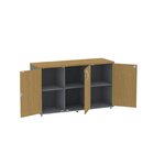 Armário Para Escritório 3 Portas Credenza Grafito/samba