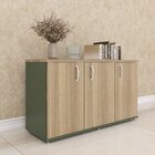 Armário Para Escritório 3 Portas Credenza Sálvia/noce Natural