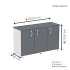 Armário Para Escritório 3 Portas Pivotantes Credenza Branco/g
