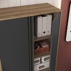 Armário Para Escritório Alto Com 2 Portas Office Mel/grafite