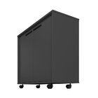 Armário Para Escritório Baixo 2 Portas 1 Prateleira Com Rodíz