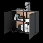 Armário Para Escritório Baixo 2 Portas 1 Prateleiras Com Rodí