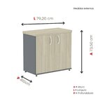 Armário Para Escritório Baixo 2 Portas Com Chave Grafito/cast