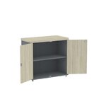 Armário Para Escritório Baixo 2 Portas Com Chave Grafito/cast