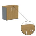 Armário Para Escritório Baixo 2 Portas Com Chave Grafito/samba