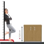 Armário Para Escritório Baixo 2 Portas Com Chave Grafito/samba