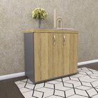 Armário Para Escritório Baixo 2 Portas Com Chave Grafito/samba