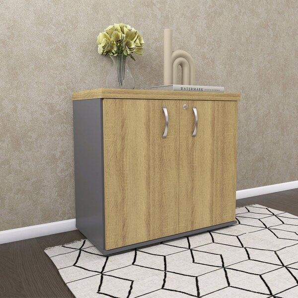 Armário Para Escritório Baixo 2 Portas Com Chave Grafito/samba