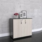 Armário Para Escritório Baixo 2 Portas Com Chave Maxxi