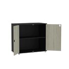 Armário Para Escritório Baixo 2 Portas Com Chave Maxxi