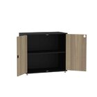 Armário Para Escritório Baixo 2 Portas Com Chave Maxxi