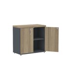 Armário Para Escritório Baixo 2 Portas Com Chave Pe40