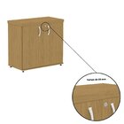 Armário Para Escritório Baixo 2 Portas Com Chave Samba