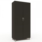 Armário Para Escritório Multi 2 Portas Com Rodízio Preto  - P