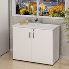 Armário Para Escritório Multiuso Baixo Fechado 2 Portas 80cm