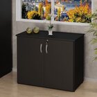 Armário Para Escritório Multiuso Baixo Fechado 2 Portas 80cm