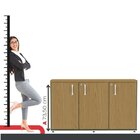 Armário Para Escritório Pivotante Credenza Salvia/samba