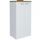 Armário Para Escritório Toq 2 Portas 3 Prateleiras Olmo/branc