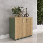 Armário Para Escrotório Baixo 02 Portas Pivotante Salvia/noce