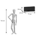 Armário Refrigerador Valência Sallêto - Carvalho
