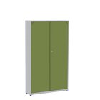 Armário Registrador Aço 2 Portas Rpcp Cinza/verde Miró