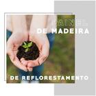 Armário Utilitário Multiuso 2 Portas Legno