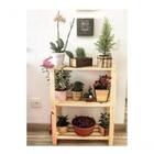 Armário Vazado Prateleiras E Organizar Livros Versátil