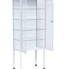 Armário Vitrine 2 Portas Veterinário