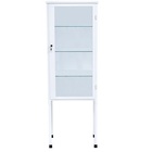 Armário Vitrine Com 1 Porta Veterinário