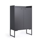 Armários Para Escritório Alto Industria 2 Portas Iron Espress