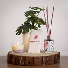 Aromatizador Ambiente 100ml Lagrima Isis