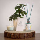 Aromatizador Ambiente 100ml Mata Atlântica