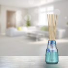 Aromatizador de Ambiente Elementos Água 100ml Secar