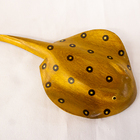 Arraia Em Madeira 20cm